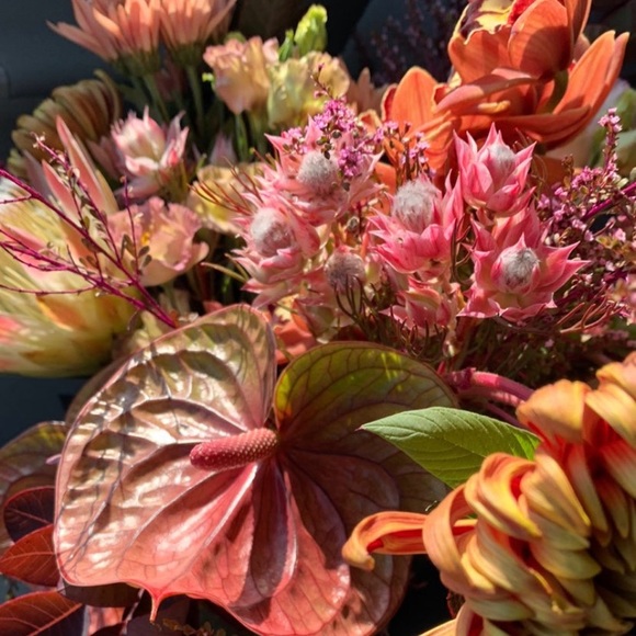 Meet your Posher, Mara - Picture 1 of 1